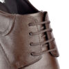 79336-01P--4-